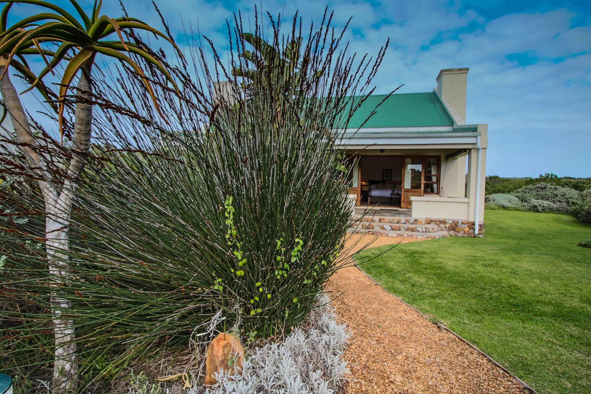 Dune Ridge Country house *