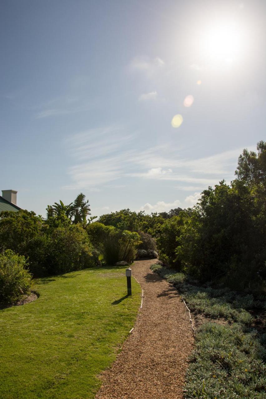 Dune Ridge *